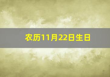 农历11月22日生日