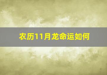 农历11月龙命运如何