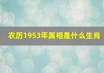 农历1953年属相是什么生肖