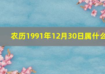 农历1991年12月30日属什么