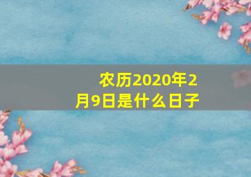 农历2020年2月9日是什么日子