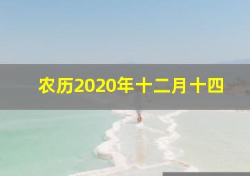 农历2020年十二月十四