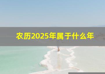 农历2025年属于什么年