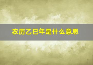 农历乙巳年是什么意思