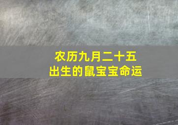 农历九月二十五出生的鼠宝宝命运