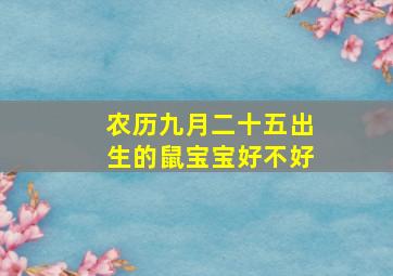 农历九月二十五出生的鼠宝宝好不好