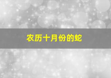 农历十月份的蛇