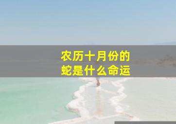 农历十月份的蛇是什么命运