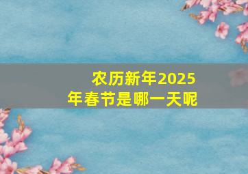 农历新年2025年春节是哪一天呢