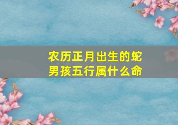 农历正月出生的蛇男孩五行属什么命