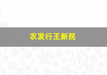 农发行王新民