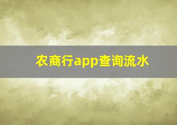 农商行app查询流水