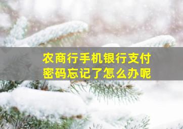 农商行手机银行支付密码忘记了怎么办呢