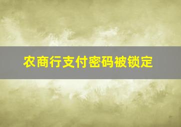 农商行支付密码被锁定