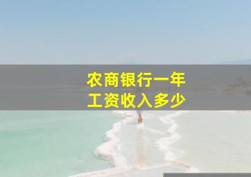 农商银行一年工资收入多少