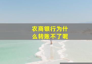 农商银行为什么转账不了呢