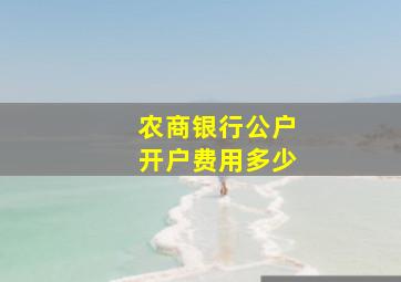 农商银行公户开户费用多少