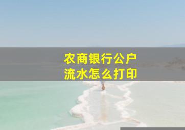 农商银行公户流水怎么打印