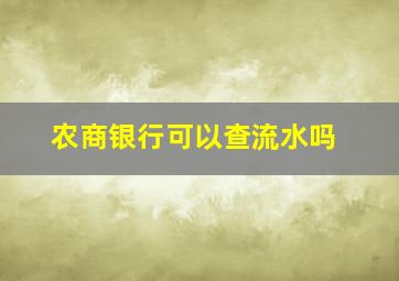 农商银行可以查流水吗