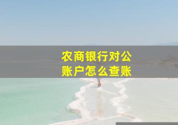 农商银行对公账户怎么查账