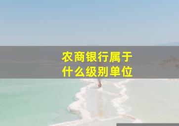 农商银行属于什么级别单位