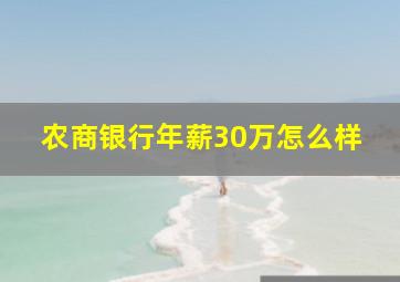 农商银行年薪30万怎么样