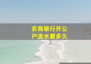 农商银行开公户流水要多久