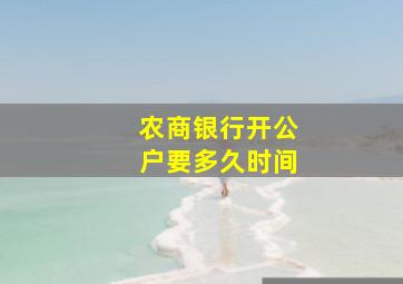 农商银行开公户要多久时间