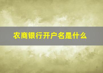 农商银行开户名是什么