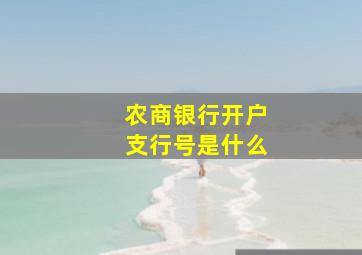 农商银行开户支行号是什么