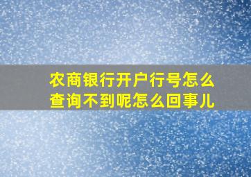 农商银行开户行号怎么查询不到呢怎么回事儿