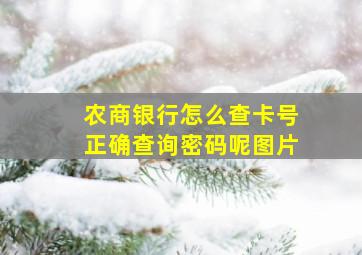 农商银行怎么查卡号正确查询密码呢图片