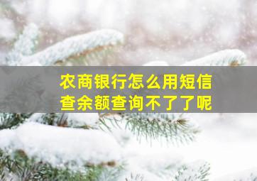 农商银行怎么用短信查余额查询不了了呢