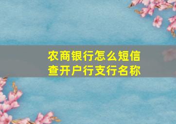 农商银行怎么短信查开户行支行名称