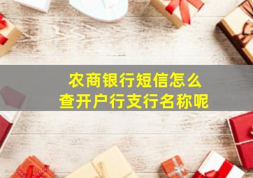 农商银行短信怎么查开户行支行名称呢