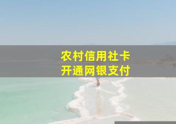 农村信用社卡开通网银支付