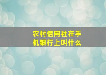 农村信用社在手机银行上叫什么