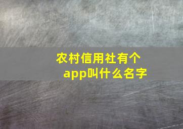 农村信用社有个app叫什么名字