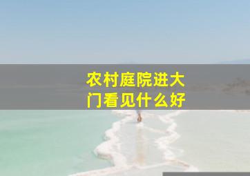 农村庭院进大门看见什么好