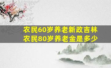 农民60岁养老新政吉林农民80岁养老金是多少