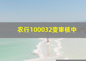 农行100032变审核中