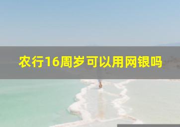 农行16周岁可以用网银吗