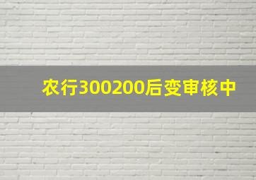 农行300200后变审核中