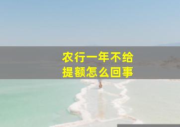 农行一年不给提额怎么回事