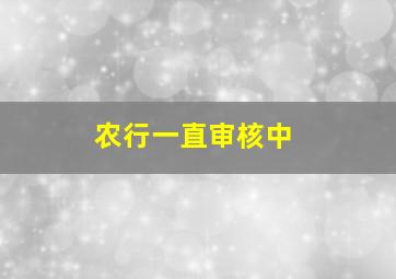 农行一直审核中