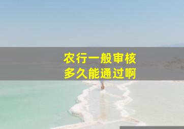 农行一般审核多久能通过啊