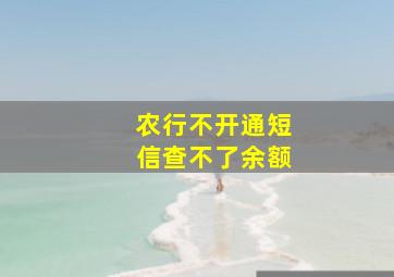 农行不开通短信查不了余额