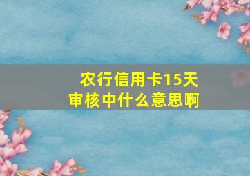 农行信用卡15天审核中什么意思啊