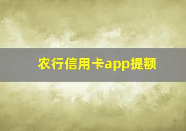 农行信用卡app提额