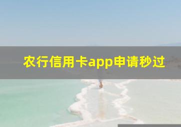 农行信用卡app申请秒过